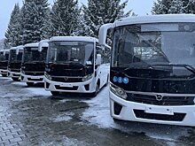 "Нижнекамское ПАТП" хотят обанкротить