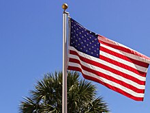 На Западе обратились к Трампу с внезапным призывом из-за России