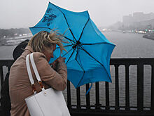 Москвичей предупредили о грозе в ближайшие часы