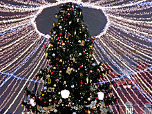 К Новому году более 500 световых инсталляций и елок установили на улицах Ашхабада