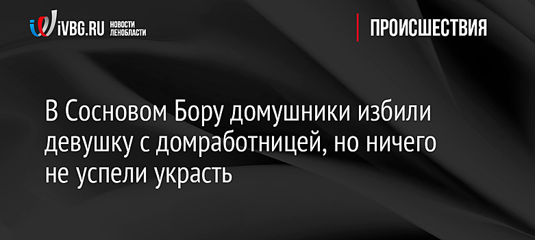 В Сосновом Бору домушники избили девушку с домработницей, но ничего не успели украсть