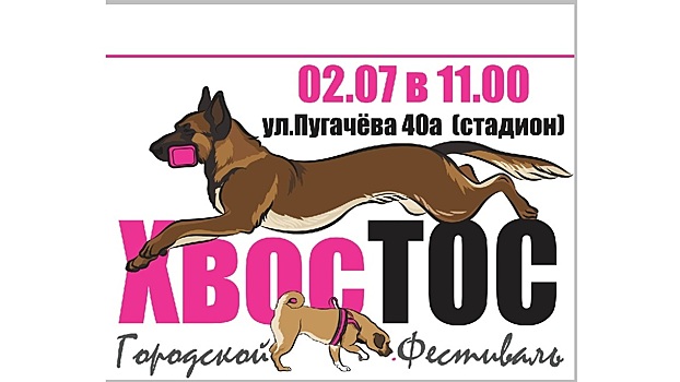В Вологде для любителей собак пройдет фестиваль «ХвосТОС»