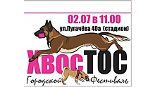 В Вологде для любителей собак пройдет фестиваль «ХвосТОС»