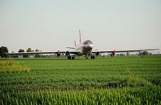 Самолет на пшеничном поле под Новосибирском: аграрии жалуются на туристов