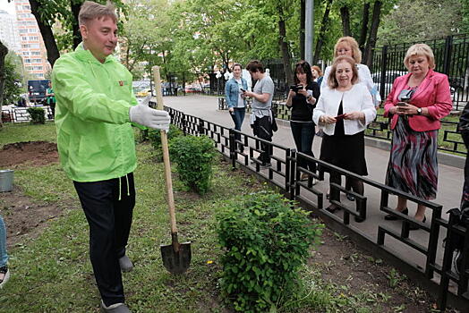 Работы по озеленению района Якиманка завершатся до конца мая