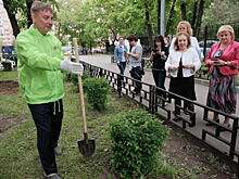 Работы по озеленению района Якиманка завершатся до конца мая