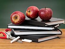 Школьники доминировали в формировании топ-10 запросов «Яндекса»