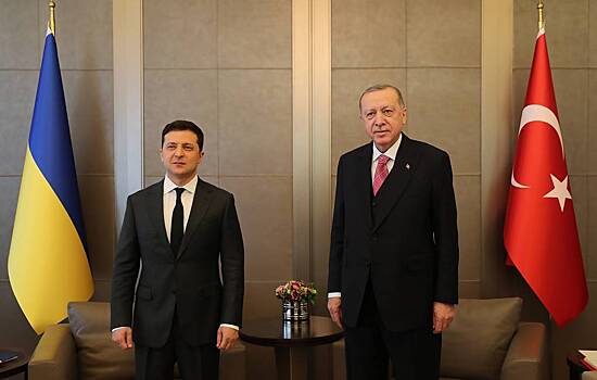 Зеленский и Эрдоган начали переговоры