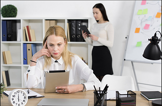 Новосибирские зумеры хотят работать у известных топ-менеджеров