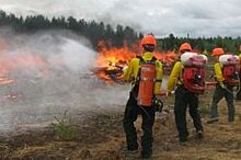 Три лесных пожара ликвидировали в трёх муниципалитетах Приморья