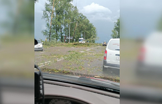 За Благовещенском во время грозы тополя повалило прямо на трассу, деревья оборвали провода