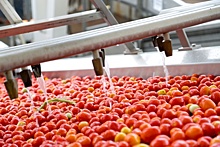 Астраханский завод стал производить вдвое больше томат-пасты
