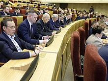 Депутаты Заксобрания Новосибирской области поддержали федеральные законопроекты