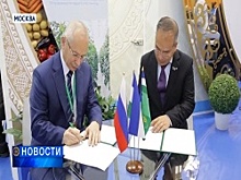 9 миллиардов рублей направят на развитие технологий тепличного выращивания томатов в Башкортостане