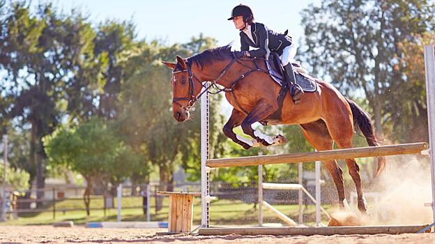 Пользователей Сети возмутило жестокое обращение с лошадью на съемках российского фильма с участием звезд: страшные кадры