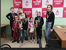 Юные шашисты из Бабушкинского завоевали бронзу окружных соревнований