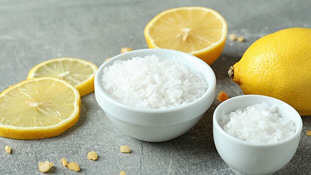 Запуск завода лимонной кислоты в Тульской области откладывается: новые сроки и причины