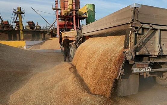 Экспорт пшеницы из России может превысить прошлогодний уровень