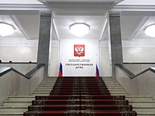 Сократить нельзя помиловать: эксперты оценили идею уменьшить число депутатов ГД вдвое