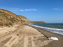В Анапе приступили к уборке полипропиленовых сетей для защиты от мазута
