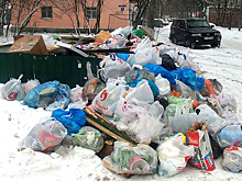 ЖРЭП-8 и Спецтранс наказаны рублем