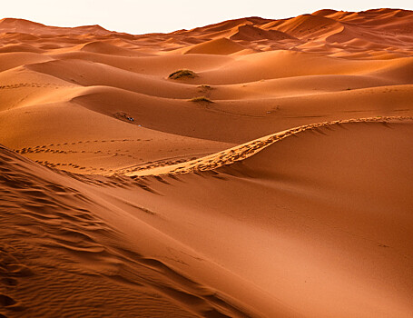 Пустыни помогут понять, как изменится планета из-за глобального потепления