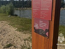 Гибель ребенка: трагедия разыгралась на озере Лебяжье в Казани