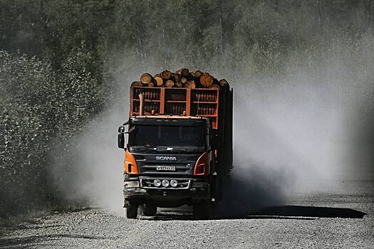 Китай рекордно нарастил ввоз одного вида лесопромышленной продукции из России