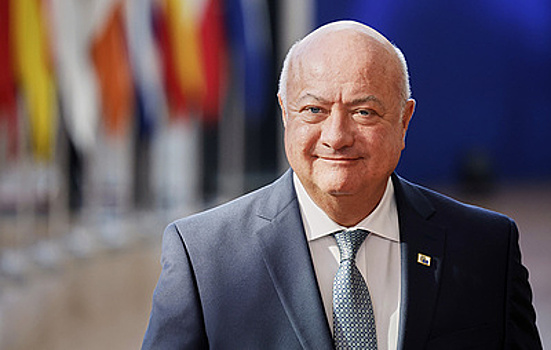 OE24: канцлеру Австрии проведут операцию из-за болей в спине