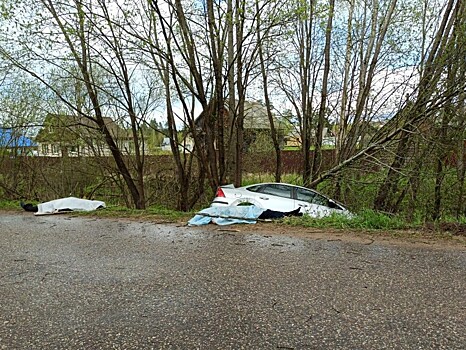 Стали известны подробности ДТП с двумя погибшими