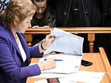 Юридические вузы в России начали включать дело Долиной в программу обучения