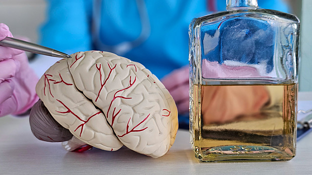 Учёные объяснили, как формируется собственное «Я»