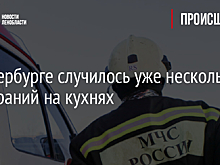 В Петербурге случилось уже несколько возгораний на кухнях