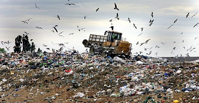 Мусорная реформа в Тюмени: «сытый город» против