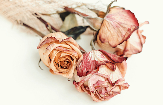 От молочницы до аллергии: 5 причин зуда во влагалище