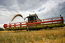 Россия побила рекорд по экспорту зерна прошлого сезона