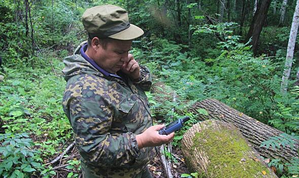 Хабаровские лесничие ждут позитивных перемен