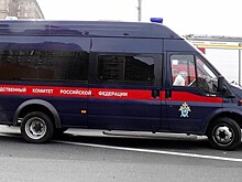 Звезда триллера "Юленька" задержана в Москве, возбуждено уголовное дело