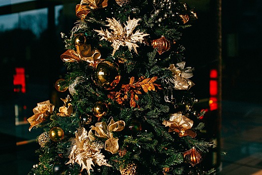 Мэрия Новороссийска планировала купить новогоднюю елку за 6 млн рублей. Прокуратура не позволила