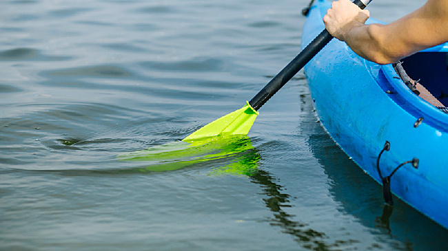 Иностранец попытался вывезти из Амурской области бивни мамонта на 3 млн рублей