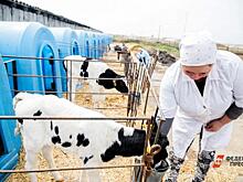 25-процентную прибавку к пенсии обязаны давать работникам этих 500 профессий: новости среды