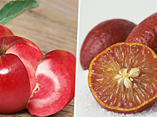 Чудеса ГМО: Необычные гибридные фрукты и ягоды