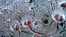 Ледяное вдохновение — 23 фото интересных образований изо льда