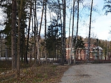 Жители Зеленого города пожаловались на «рейдерский захват» детского лагеря