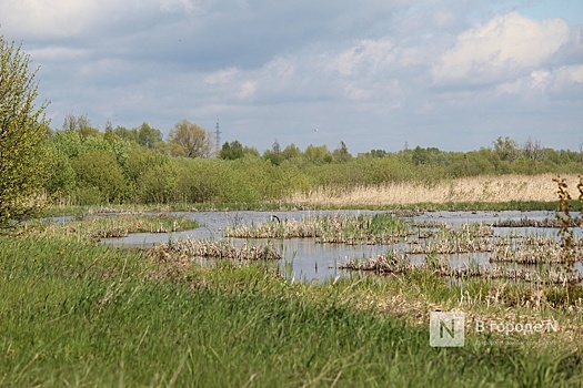 Создание природного парка в Артемовских лугах обойдется в 4 млн рублей