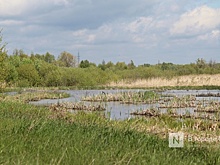 Создание природного парка в Артемовских лугах обойдется в 4 млн рублей