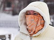 Москвичам назвали срок окончания экстремальных морозов