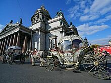 В Петербурге назревает лошадиный бунт