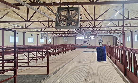 Роботы-дояры появились на предприятии в Игринском районе Удмуртии