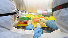 Эксперт дал рекомендации по сохранению здоровья во время коронавирусной пандемии